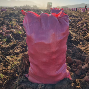 Red polypropylene woven potato bag