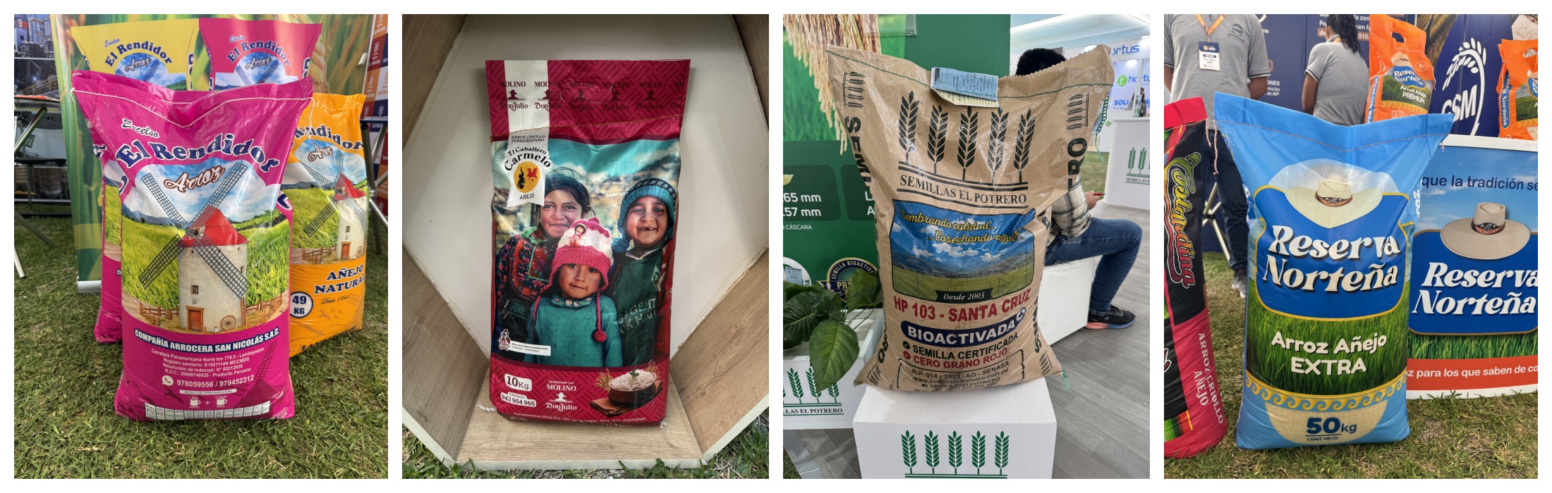 微信图片_20251018141348_19_28