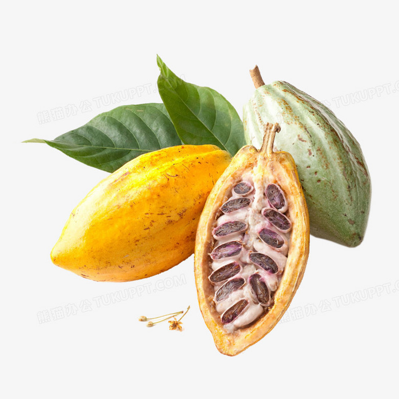 微信图片_20250901104437_183_47