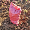 Red woven bags for packing potatoes